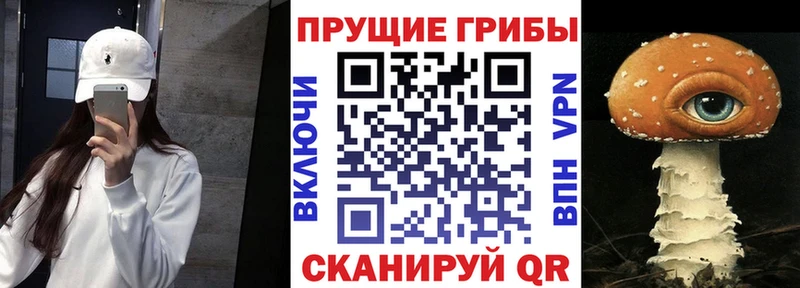ОМГ ОМГ ссылка  Дегтярск  Псилоцибиновые грибы GOLDEN TEACHER 